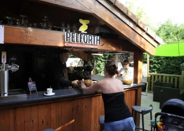 Mobil-home 6 Pers, Terrasse Spacieuse - Api-1-52-1639 Camping Saint-Paul-en-Born